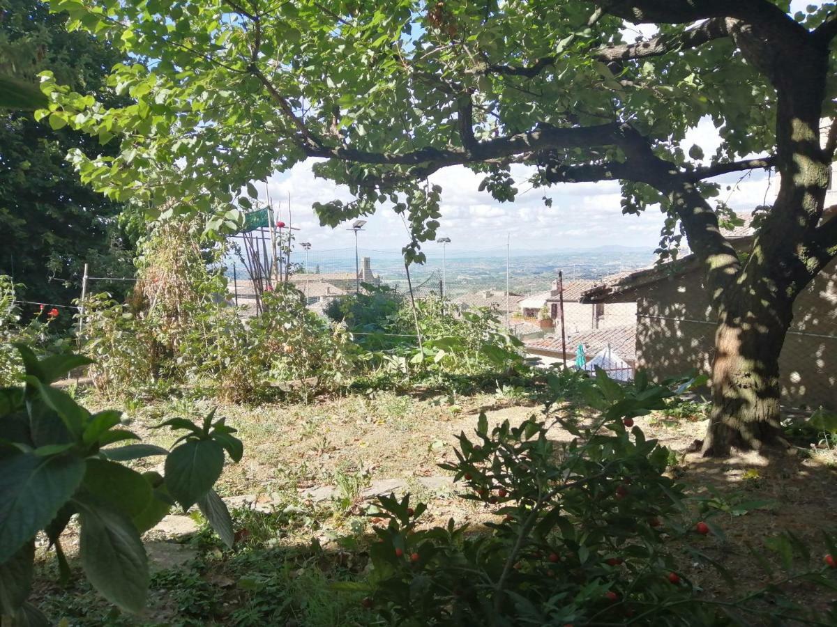 Apartmán Orto Di Emma San Gimignano Exteriér fotografie