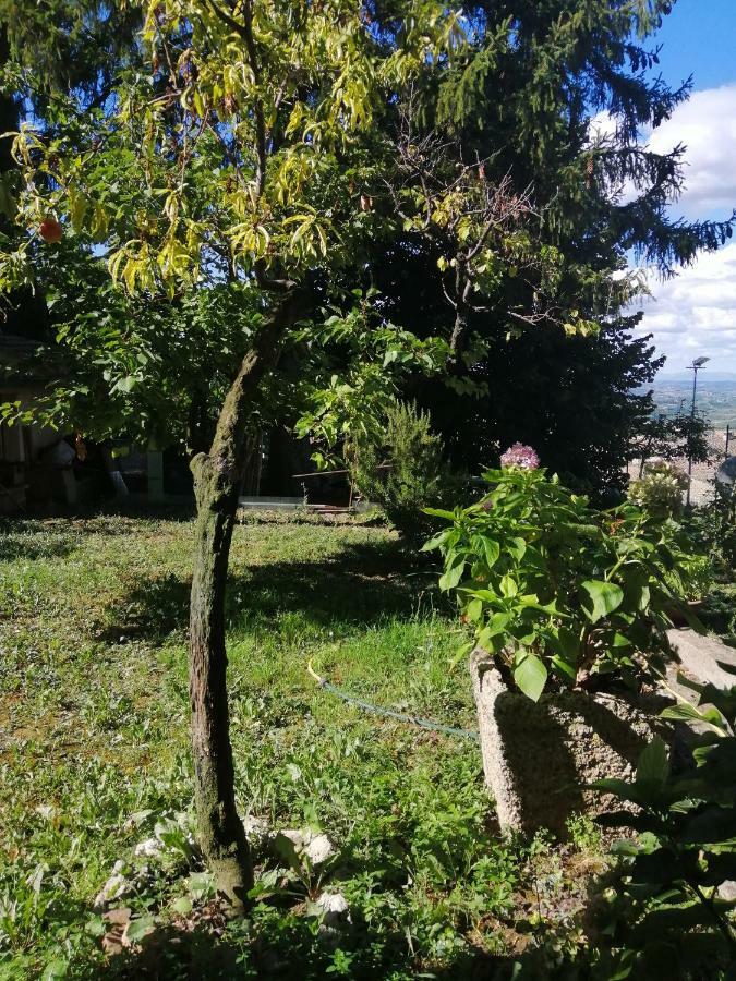 Apartmán Orto Di Emma San Gimignano Exteriér fotografie